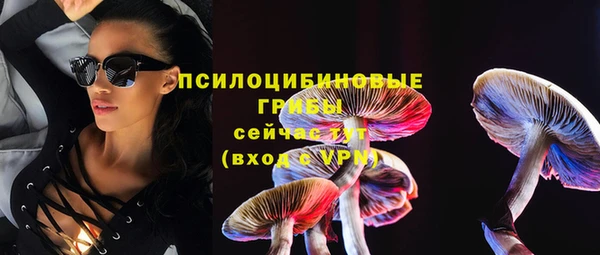 ПСИЛОЦИБИНОВЫЕ ГРИБЫ Чекалин