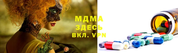 ПСИЛОЦИБИНОВЫЕ ГРИБЫ Чекалин