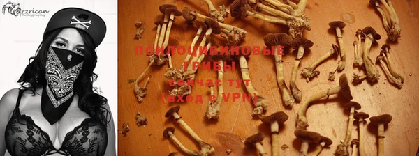 ALPHA-PVP Чердынь