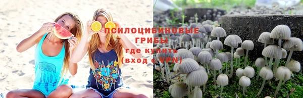 каннабис Надым
