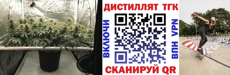 мега tor  купить   Судогда  ТГК жижа 