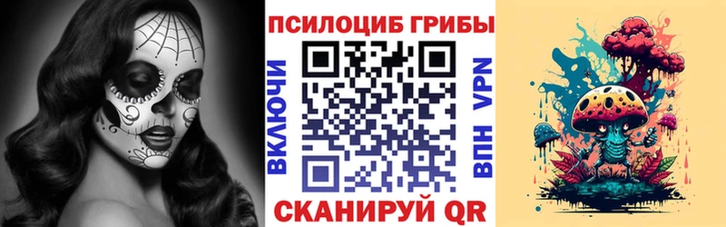 дарнет шоп  Судогда  Галлюциногенные грибы ЛСД 
